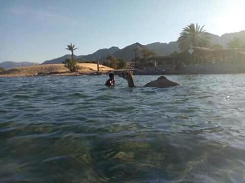 نزل نويبعفي Sebaii Camp السباعى كامب شاطئ الترابين بجوار ويت بالس المظهر الخارجي الصورة